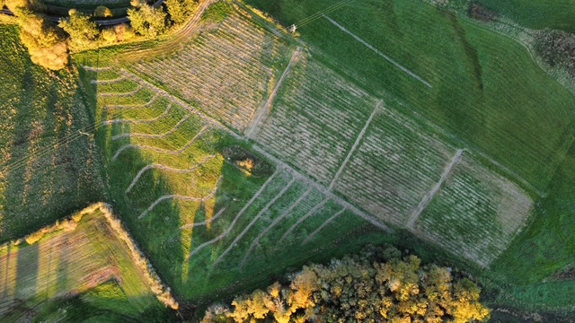 DCIM\100MEDIA\DJI_0712.JPG